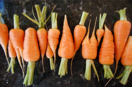 baby_carrots